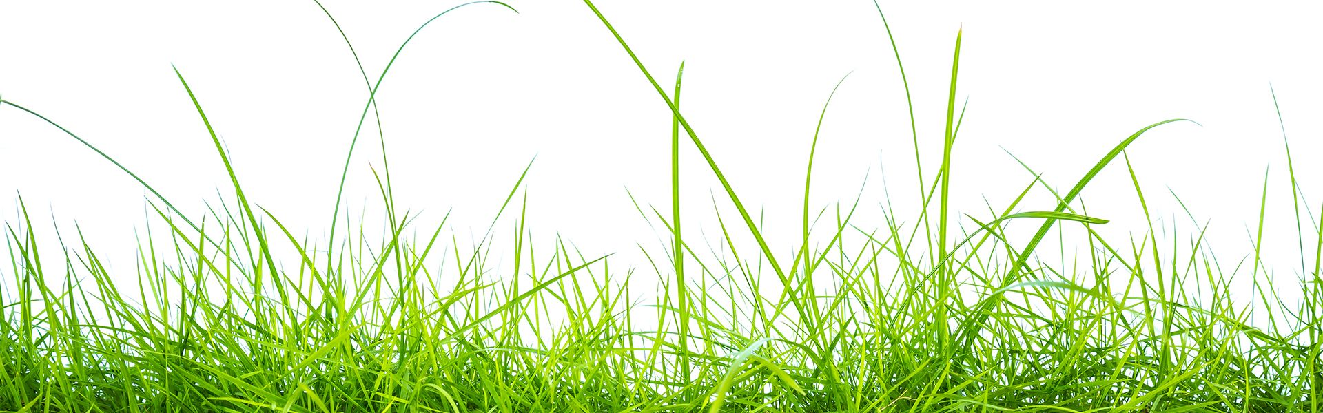 WeNet partnerem raportu Interaktywnie.com. Pobierz e-book o stronach WWW i e-sklepach