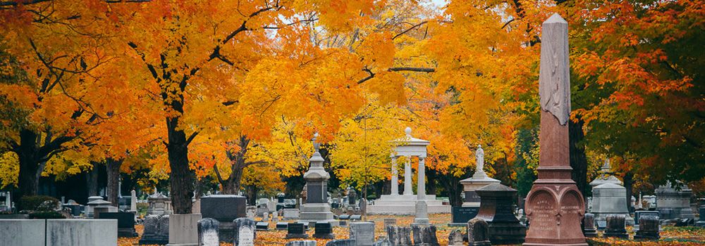 WeNet partnerem raportu Interaktywnie.com. Pobierz e-book o stronach WWW i e-sklepach