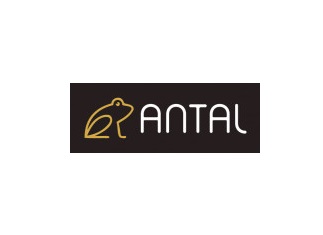 Ile kosztuje strona internetowa? 